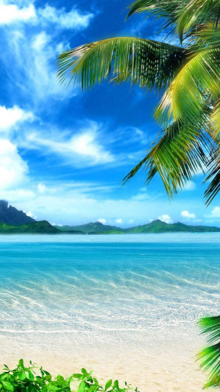 Beach iPhone Wallpaper Top Background
