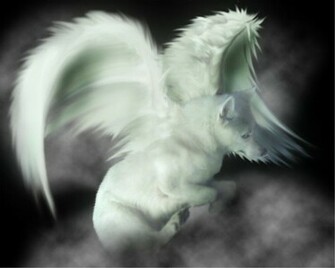 Animal Photo Wolf Anime Wallpaper
