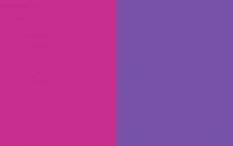 Royal Fuchsia And Purple Two Color Background