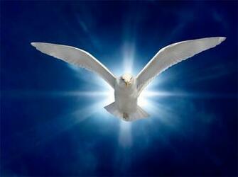 Pentecostal Vigil Mass And Healing Diocese Of Mthatha