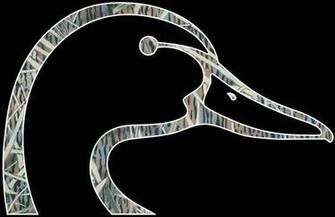 Ducks Unlimited Annapolis Chapter To Host Annual Fundraiser Eye On