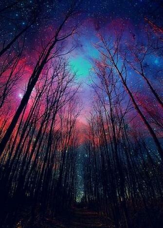 Cute Galaxy iPhone Wallpaper Sky Stars Sweet Trees Image