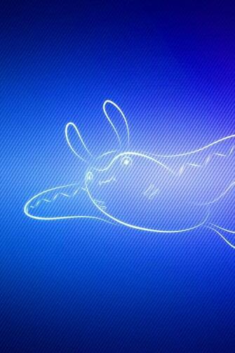 Wallpaper Swim Pokemon Mantine iPhone 4s For