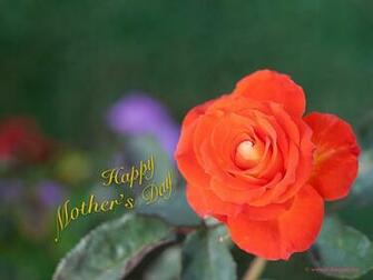 Mother S Day Desktop Wallpaper Screensaver Memes