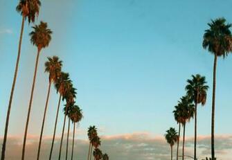 California Desktop Wallpaper Top