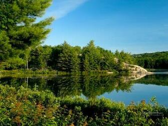 Green Lake Wallpaper HD