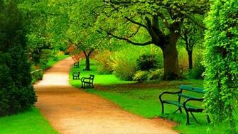 Trees Road Forest Park Spring Wallpaper Photos Pictures