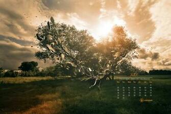 July Calendar Wallpaper High Definition