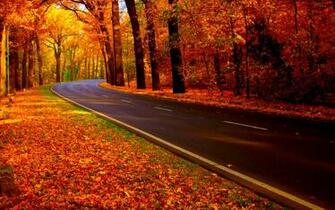 Autumn Road On Curezone Image Gallery