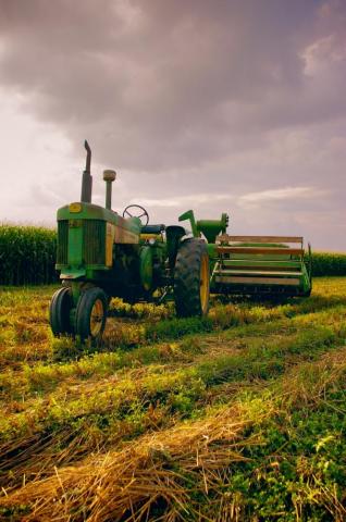 Agriculture Pictures Image