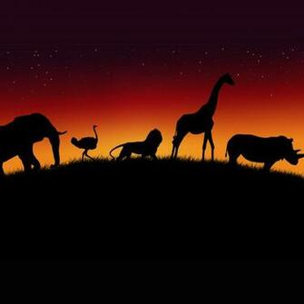 Blackberry Wallpaper For African Zoo Personal