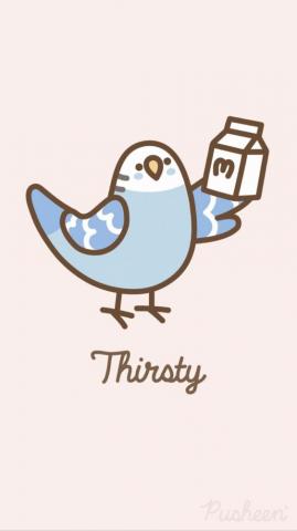 Pusheen The Cat iPhone Wallpaper Parakeet Bird