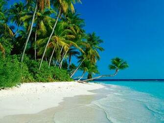 Paradise Wallpaper Desktop HD