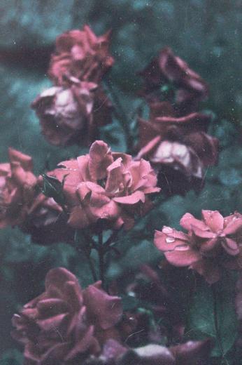 Indie Grunge