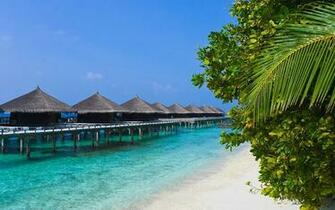 Water Bungalows On A Tropical Island Travel Background