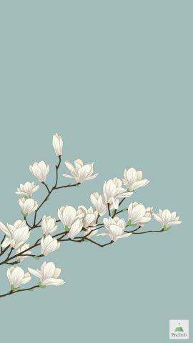 Citlaltzin On I Art Wallpaper Flower Apple