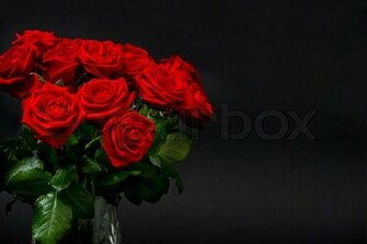 Stock Bild Von Red Roses On Black Background