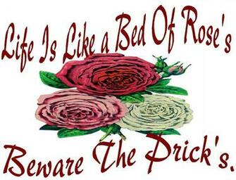 Life Is Like A Bed Of Rose S Jpg
