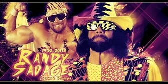 Macho Man Randy Savage Wallpaper Image Pictures Becuo