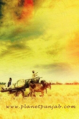 Punjabi Wallpaper For Village Plane