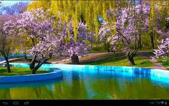 3d Spring Park Sakura Android Apps On Google Play