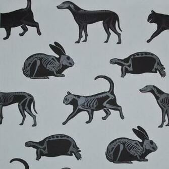 Neat Wallpaper Perfect For Phily S Future Practice