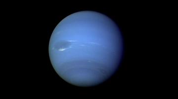 Neptune Wallpaper