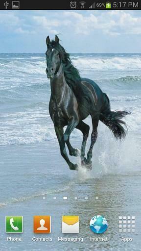Related Pictures Of Horses Image Licensed From Folotia By Photoshop