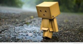 Hosam On Danbo Sad Wallpaper Rain