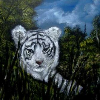 Beautiful White Tiger Cubs Wallpaper Tigers Picture