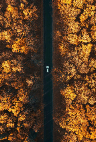 Early Fall Wallpaper