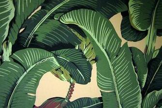 Martinique Banana Leaf Wallpaper The Beverly Hills Hotel