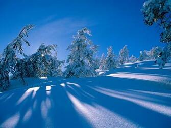 Best Desktop HD Wallpaper Snow