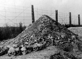 World War Top Photos You Have To See Trending Wallpaper
