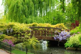 Beautiful Spring Flowers Wallpaper