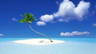 Palm Tree Beach