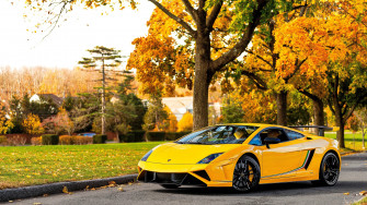 Lamborghini Gallardo 1080p 2k 4k HD Wallpaper Background