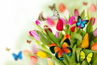 Funmozar Spring Flowers And Butterflies Wallpaper