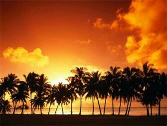 HD Screen Wallpaper Full Desktop