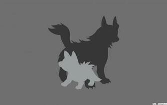 Mightyena And Poochyena Of Pokemon HD Wallpaper