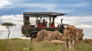 House In The Wild Safarifrank Masai Mara Kenya