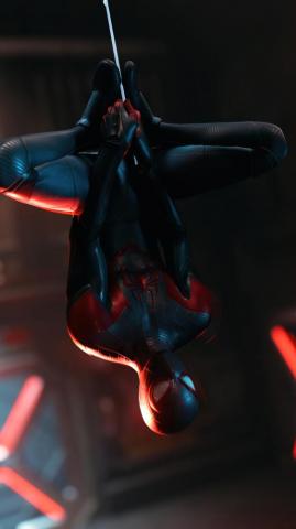 Spider Man Miles Morales Upside Down HD 4k Wallpaper