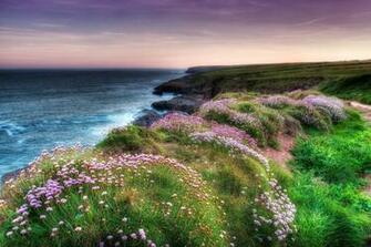 Sea Flowers Beach Nature Wallpaper