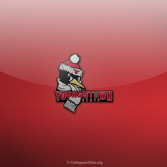 iPad Wallpaper Youngstown State Ysu Penguins