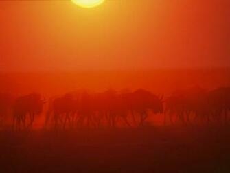 The Amazing Of Weather Photography Pixel Curse