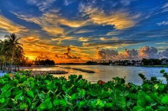 Wallpaper Dubois Park Jupiter Florida Desktop