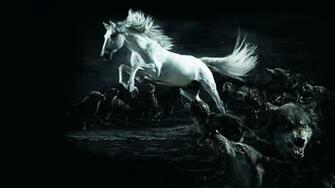 Horse Wolf Wallpaper HD White