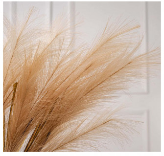 Pampas Grass Background With White Wall Wallpaper