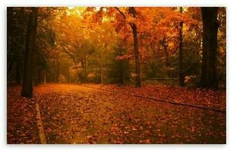 Fall Scene HD Wallpaper For Standard Fullscreen Uxga Xga Svga