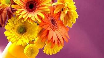 Full HD Flowers Wallpaper